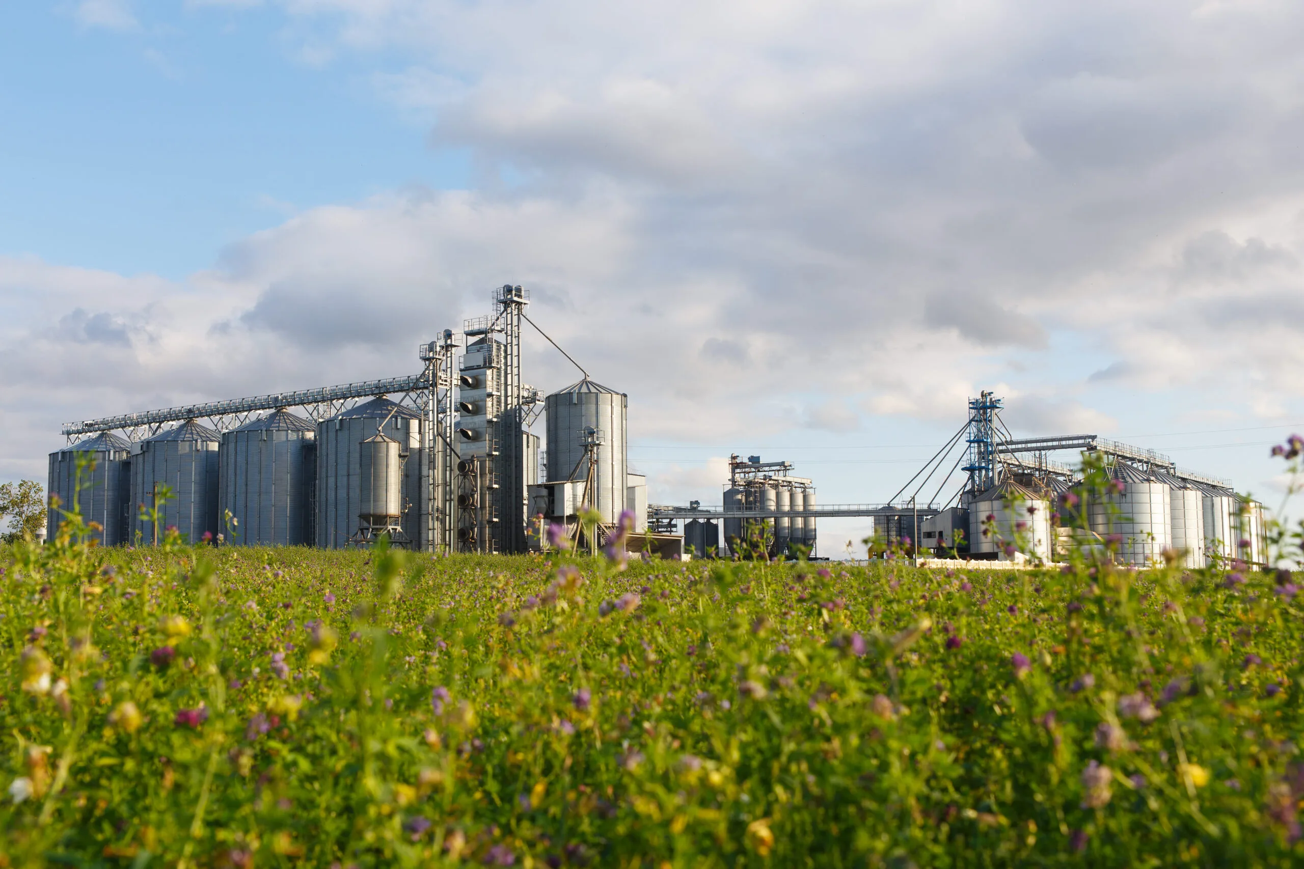 Complexo Agroindustrial: O Que É e Qual Sua Importância